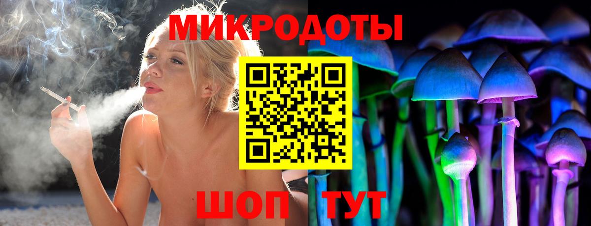 Галлюциногенные грибы Psilocybe  Галлюциногенные грибы ЛСД  Вход с VPN  Шадринск 